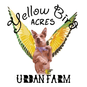 Yellow Bird Acres Urban Farm